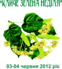 Festyval_Rivnja_2012